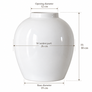 Cove Glossy Vase - Warm Offwhite / Ivory - dimensions